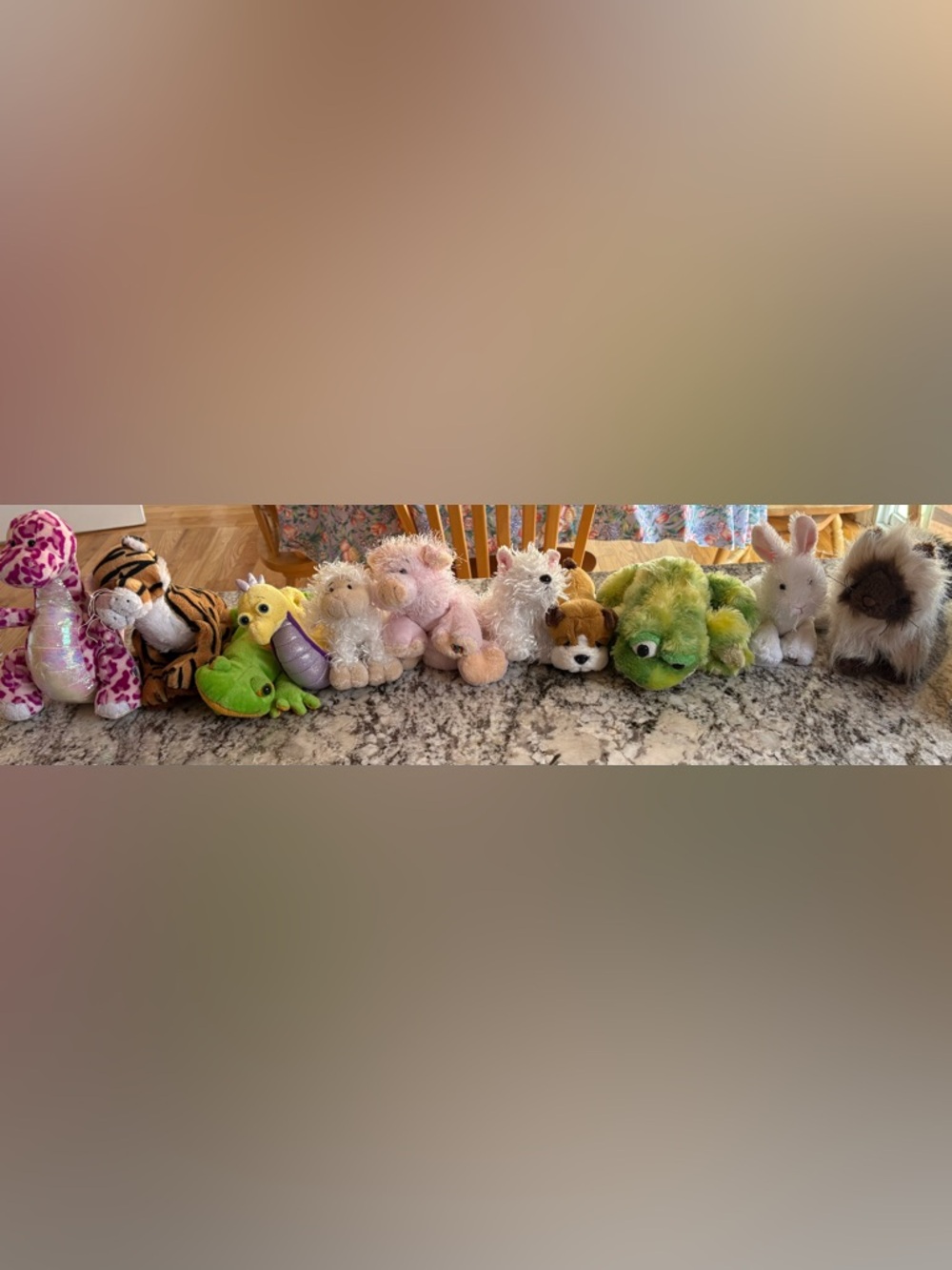 Webkinz